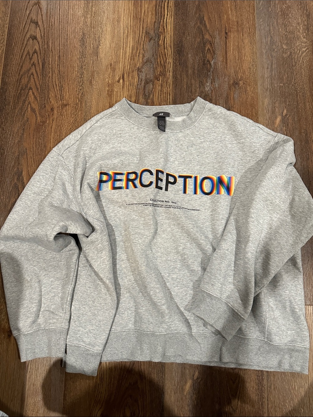 H&M Light Gray Crewneck Sweatshirt with Rainbow 'PERCEPTION' Graphic